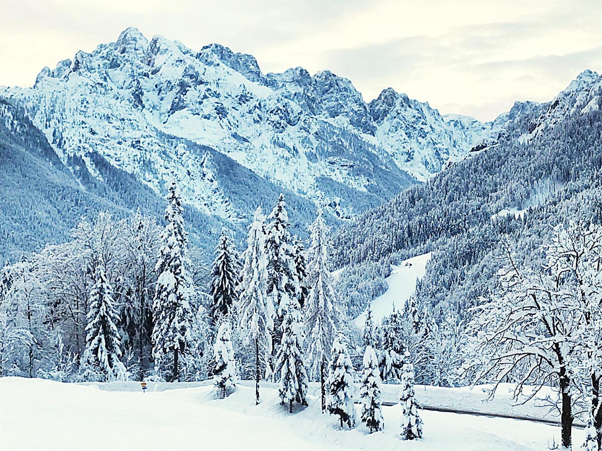 Pr'Gavedarjo Eco Heritage B&B Kranjska Gora Dış mekan fotoğraf